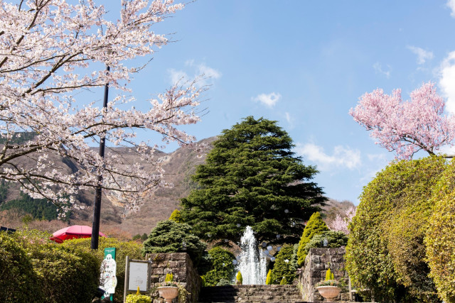 箱根強羅公園【箱根町】